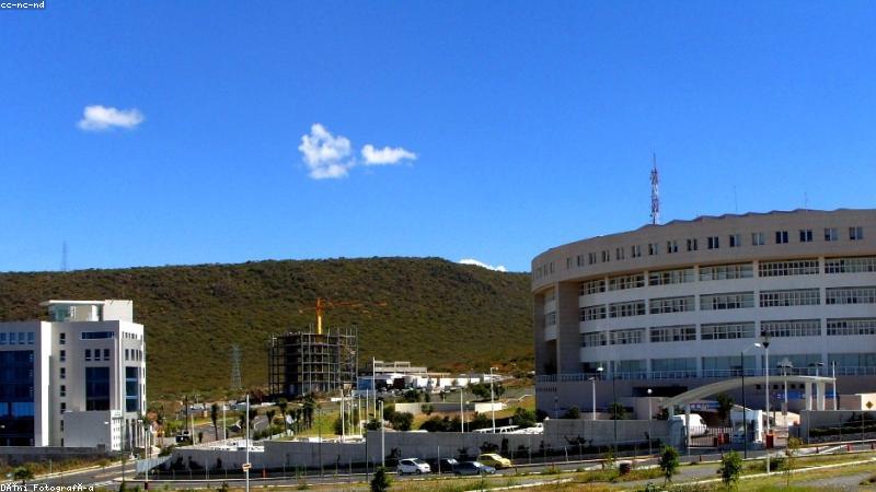 91免费企业网站一建即成平台首页界面展示